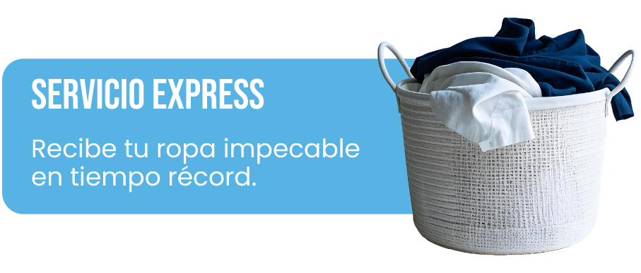 Servicio Express